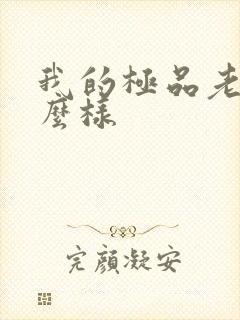 我的极品老婆怎么样