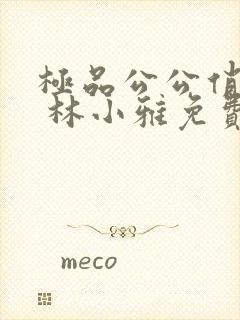 极品公公俏媳妇 林小雅免费阅读全文