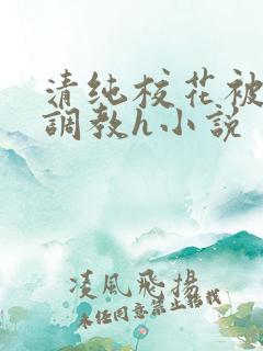 清纯校花被地狱调教h小说