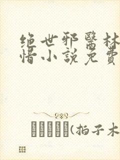 绝世邪医林凡叶惜小说免费阅