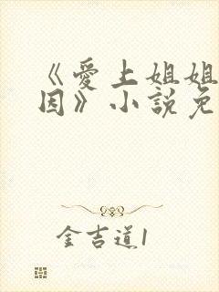 《爱上姐姐的原因》小说免费阅读