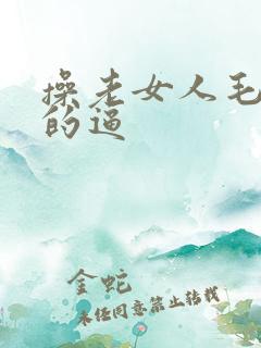 操老女人毛茸茸的逼
