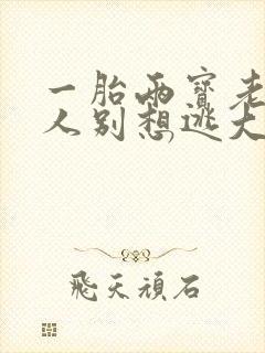 一胎两宝老婆大人别想逃大结局