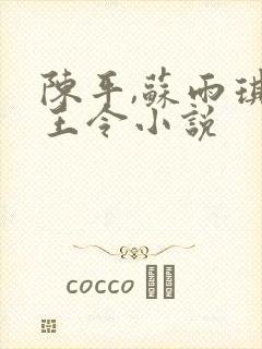 陈平,苏雨琪龙王令小说