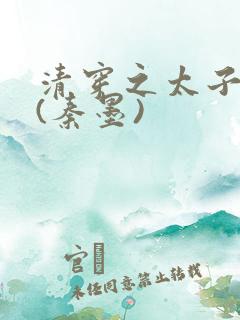 清穿之太子宠妃(秦墨)