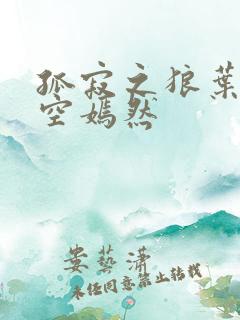 孤寂之狼叶凡司空嫣然