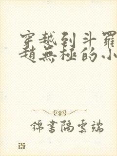 穿越到斗罗成为赵无极的小说