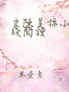 良陈美锦小说在线阅读