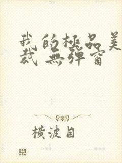 我的极品美女总裁 无弹窗