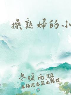 操熟妇的小说