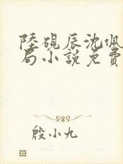陆砚辰沈佩之结局小说免费阅读