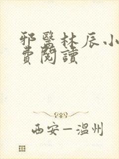 邪医林辰小说免费阅读