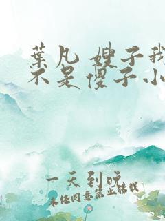 叶凡 嫂子我真不是傻子小说