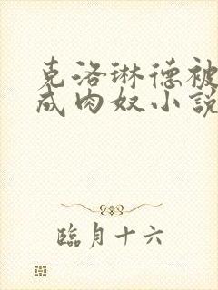 克洛琳德被调教成肉奴小说