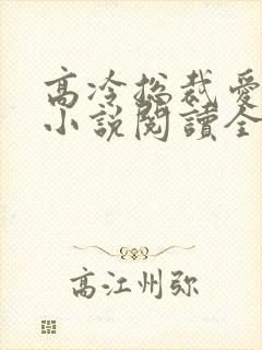 高冷总裁爱上我小说阅读全文
