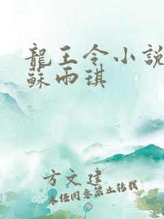 龙王令小说陈平苏雨琪