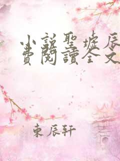 小说圣墟辰东免费阅读全文