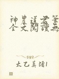 神农道君笔趣阁全文阅读无弹窗
