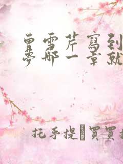 曹雪芹写到红楼梦哪一章就死了