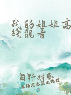 我的姐姐高清在线观看