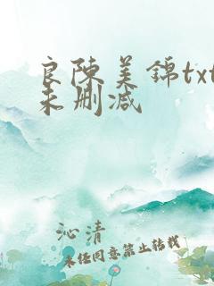良陈美锦txt未删减