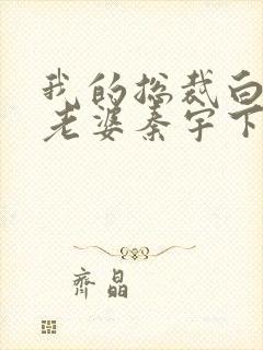 我的总裁白富美老婆秦宇下载