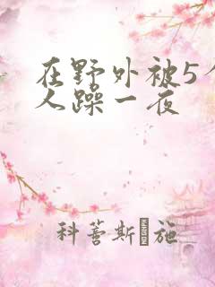 在野外被5个男人躁一夜