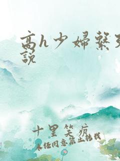 高h少妇系列小说
