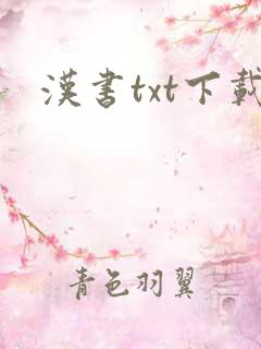 汉书txt下载