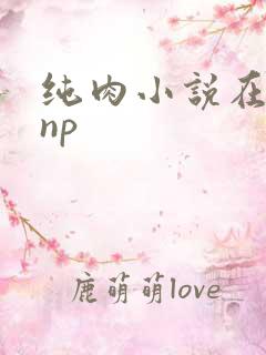 纯肉小说在线看np