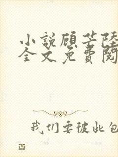 小说顾芒陆承洲全文免费阅读全文