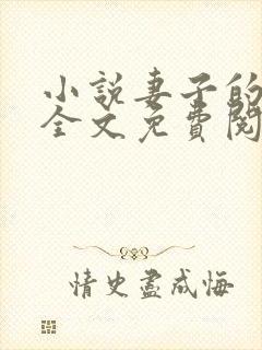 小说妻子的秘密全文免费阅读全文