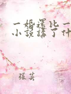 一婚还比一婚高小说讲了什么