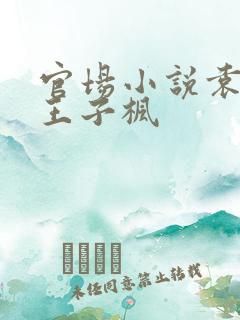 官场小说袁雯洁王子枫