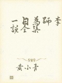一日为师李超小说全集