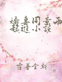 娇妻同意两根一起进小说