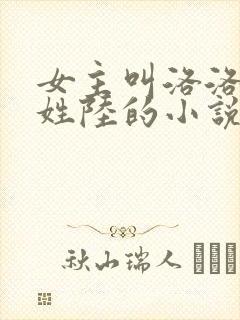 女主叫洛洛男主姓陆的小说