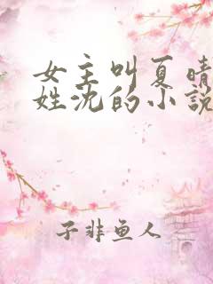 女主叫夏晴男主姓沈的小说