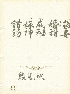 错嫁成婚:总裁的神秘甜妻txt下载