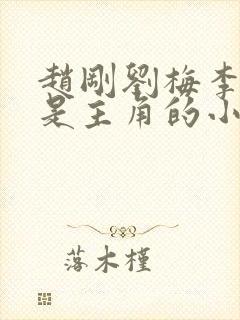 赵刚刘梅李晓雅是主角的小说