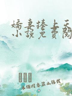 娇妻捧上天全文小说免费阅读