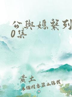 公与媳系列100集