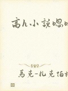 高h小说嗯嗯嗯