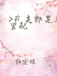 >我夫郎是恶毒男配