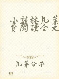 小说林凡叶惜免费阅读全文最新