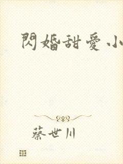 闪婚甜爱小说