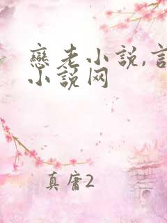 恋老小说,言情小说网