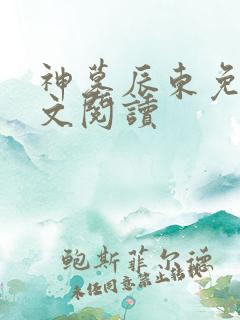 神墓辰东免费全文阅读