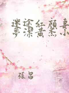 迷途红颜妻子陈梦洁黄杰小说