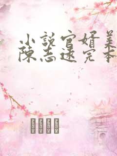 小说官婿美人图陈志远完本免费阅读